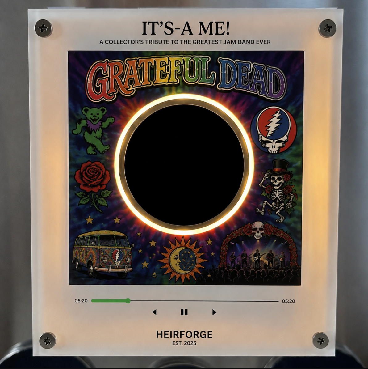 Grateful Dead Vinyl Frame