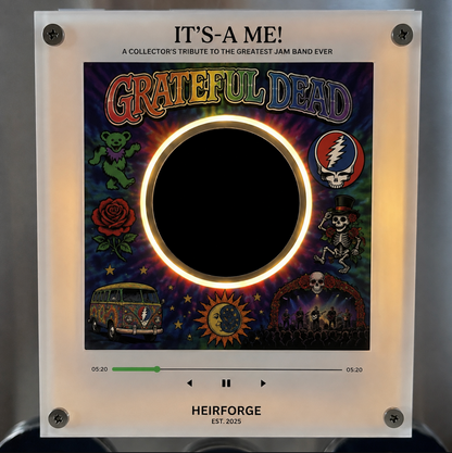 Grateful Dead Vinyl Frame