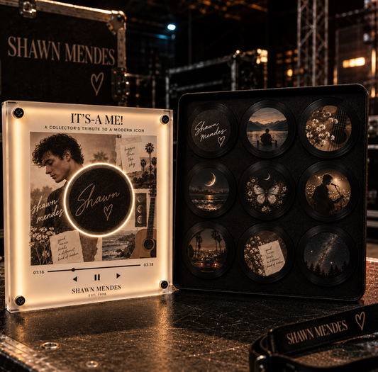 Shawn Mendes Vinyl Frame