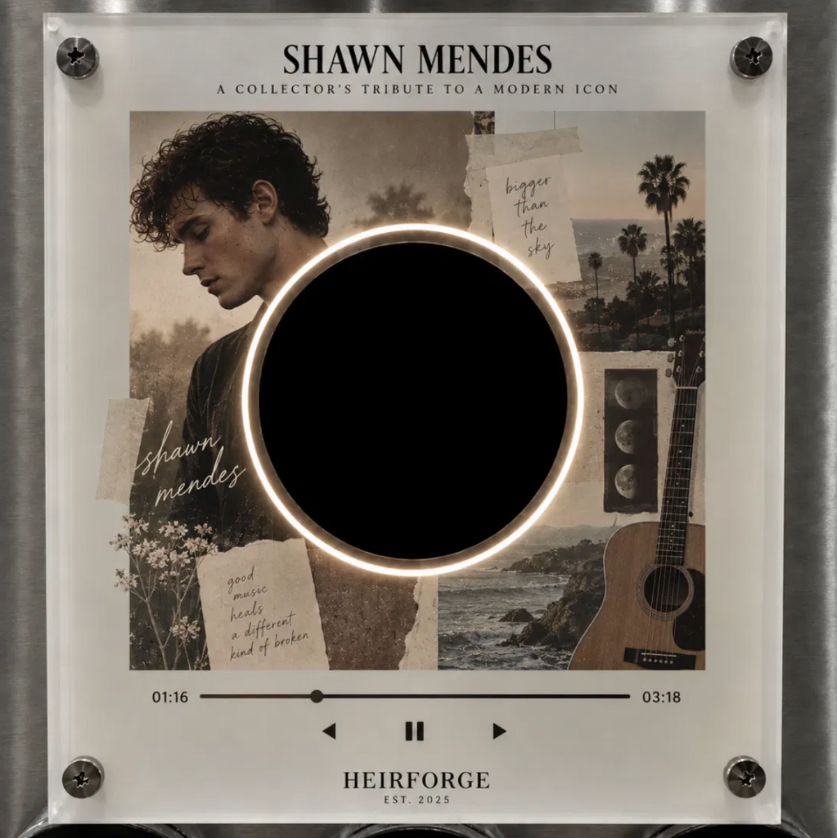Shawn Mendes Vinyl Frame