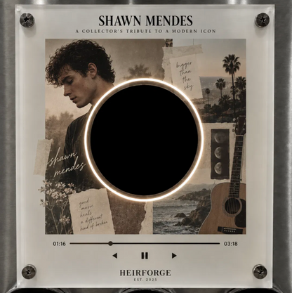 Shawn Mendes Vinyl Frame