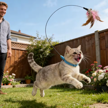 Cat Feather Collar